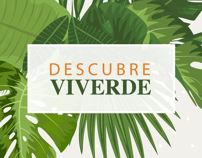 Viverde Solutions: Eco-Platform — Digital Experience project for Viverde